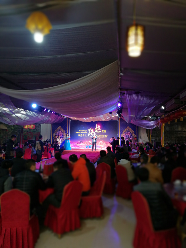 年会现场李总讲话